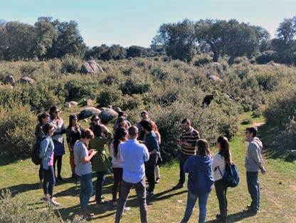 Formación de investigadores