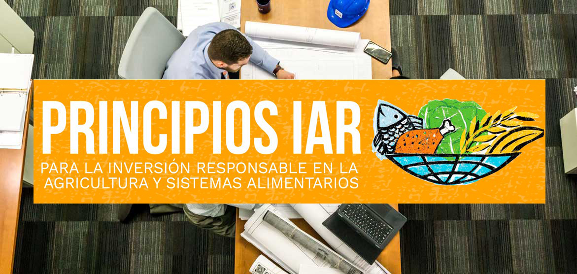 Programa management