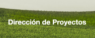 Dirección de Proyectos