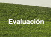 Evaluación